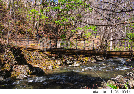 吊り橋の小径 乗鞍高原 吊り橋の小径 乗鞍高原 125936548
