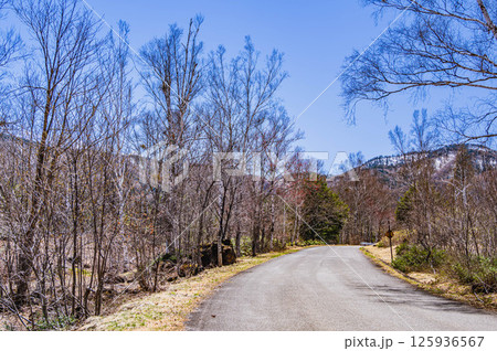 春の乗鞍高原をドライブ　 125936567