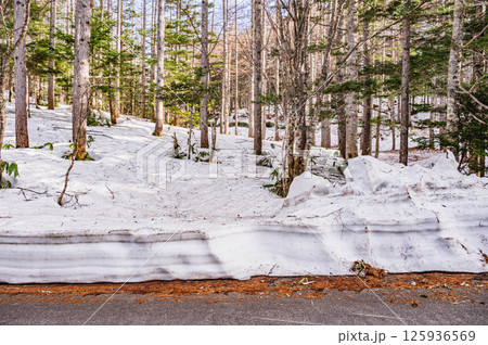 春に雪が残る乗鞍高原　 125936569