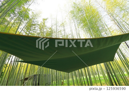 若竹の杜　　ハンモックキャンプ 125936590