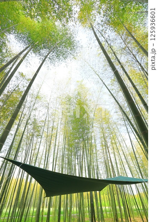 若竹の杜　　ハンモックキャンプ 125936601