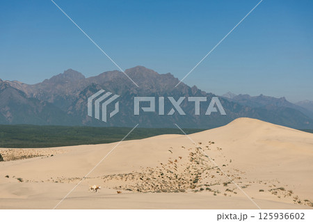 Kodar mountain range and Chara sands. Kodar mountain range and Chara sands. 125936602