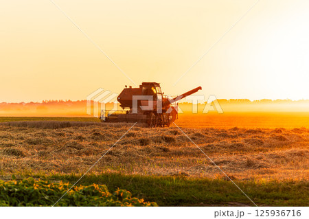 Combines harvest grain on a rural field as the sun sets, casting a warm glow over the landscape and machinery Combines harvest grain on a rural field as the sun sets, casting a warm glow over the landscape and machinery 125936716