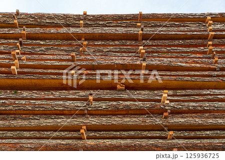 Wooden logs are organized in neat rows, showcasing their natural bark, in a lumber yard on a cloudy afternoon Wooden logs are organized in neat rows, showcasing their natural bark, in a lumber yard on a cloudy afternoon 125936725