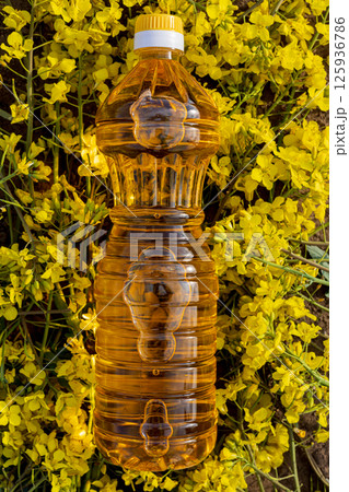 Canola oil bottle sits amidst blooming rapeseed flowers, showcasing the beauty of agriculture and nature in full bloom under sunlight Canola oil bottle sits amidst blooming rapeseed flowers, showcasing the beauty of agriculture and nature in full bloom under sunlight 125936786