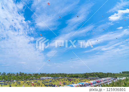 浜松まつり、中田島砂丘での凧揚げ合戦〈静岡県浜松市〉 125936801