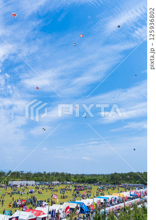浜松まつり、中田島砂丘での凧揚げ合戦〈静岡県浜松市〉 125936802
