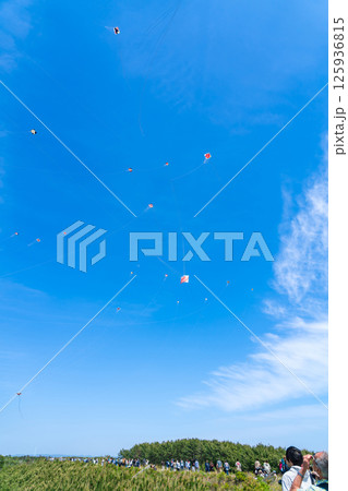浜松まつり、中田島砂丘での凧揚げ合戦〈静岡県浜松市〉 浜松まつり、中田島砂丘での凧揚げ合戦〈静岡県浜松市〉 125936815
