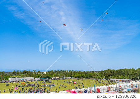 浜松まつり、中田島砂丘での凧揚げ合戦〈静岡県浜松市〉 125936820