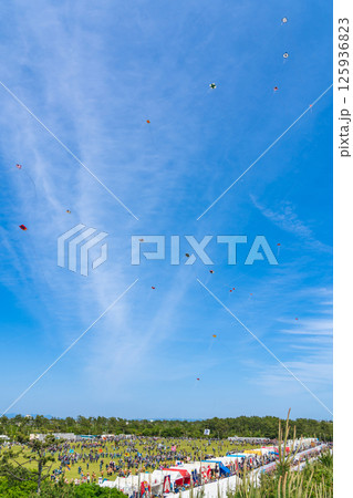 浜松まつり、中田島砂丘での凧揚げ合戦〈静岡県浜松市〉 125936823