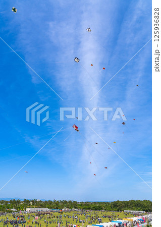 浜松まつり、中田島砂丘での凧揚げ合戦〈静岡県浜松市〉 125936828