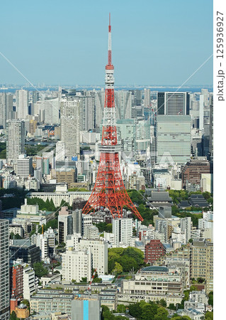 東京タワーを見下ろす 125936927