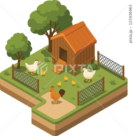Isometric chicken farm with chicken coop and fences 125936963