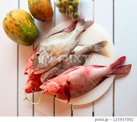 Red Snapper fish close up, Lutjanus or seabream, Sebastes fresh sea food, raw uncooked 125937002
