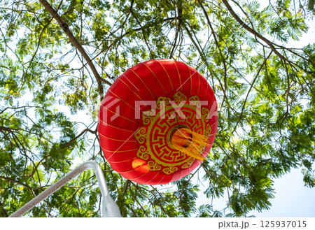 Red Chinese lanterns hanging on green tree in daylight, asian lamps, traditional oriental lanterns Red Chinese lanterns hanging on green tree in daylight, asian lamps, traditional oriental lanterns 125937015