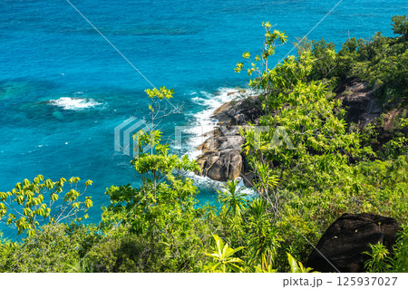 View of ocean cliffs and boulders through tropical vegetation View of ocean cliffs and boulders through tropical vegetation 125937027