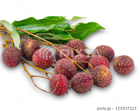 Group of ripe Lychee with stem and green leaves isolated on white background. Group of ripe Lychee with stem and green leaves isolated on white background. 125937223