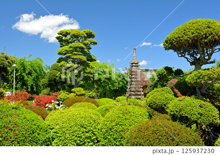 栃木・佐野厄除大師 125937230