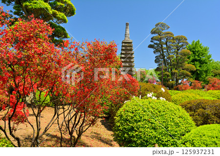 栃木・佐野厄除大師 栃木・佐野厄除大師 125937231