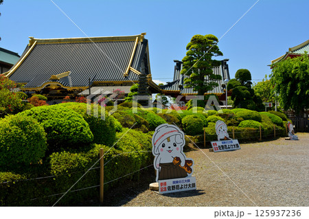 栃木・佐野厄除大師 125937236