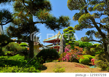 栃木・佐野厄除大師 125937239