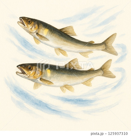 川魚 125937310