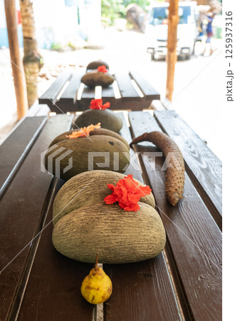 Coco de Mer seeds and male inflorescence displayed with hibiscus flowers on a wooden table Coco de Mer seeds and male inflorescence displayed with hibiscus flowers on a wooden table 125937316