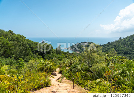 Tropical trekking trail in Fond Ferdinand Nature Reserve on Praslin Island, Seychelles 125937346