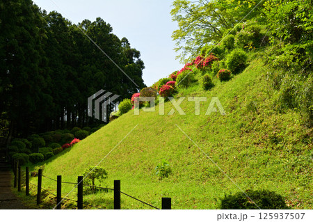 日本100名城・山中城(静岡) 日本100名城・山中城(静岡) 125937507