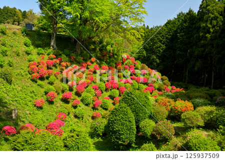 日本100名城・山中城(静岡) 日本100名城・山中城(静岡) 125937509