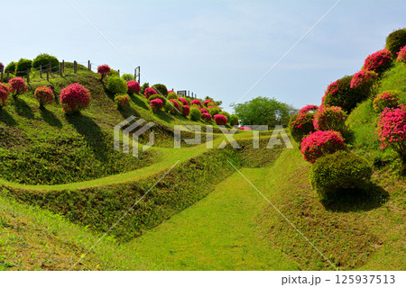 日本100名城・山中城（静岡） 125937513
