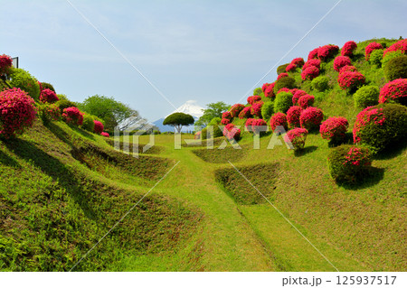 日本100名城・山中城(静岡) 日本100名城・山中城(静岡) 125937517