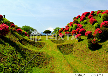 日本100名城・山中城（静岡） 125937518