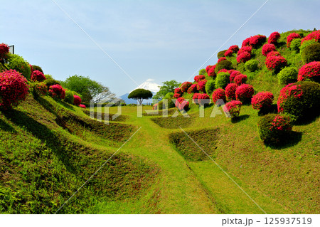 日本100名城・山中城（静岡） 125937519