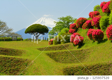 日本100名城・山中城（静岡） 125937520