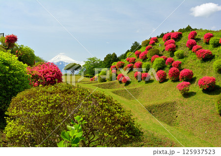 日本100名城・山中城(静岡) 日本100名城・山中城(静岡) 125937523