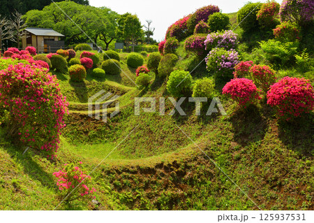 日本100名城・山中城（静岡） 125937531