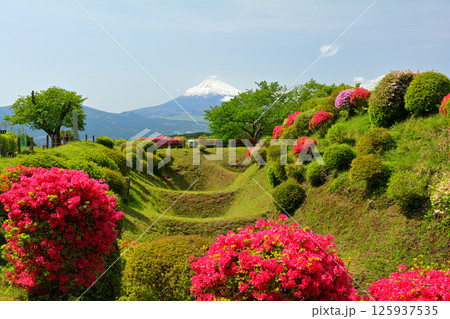 日本100名城・山中城(静岡) 日本100名城・山中城(静岡) 125937535