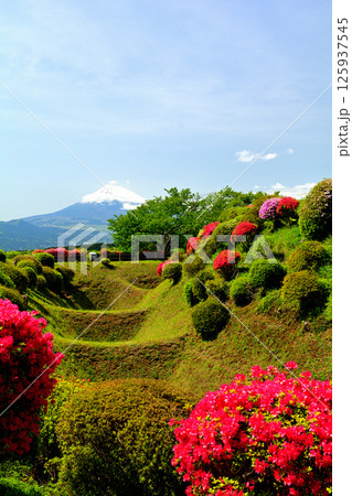 日本100名城・山中城（静岡） 125937545