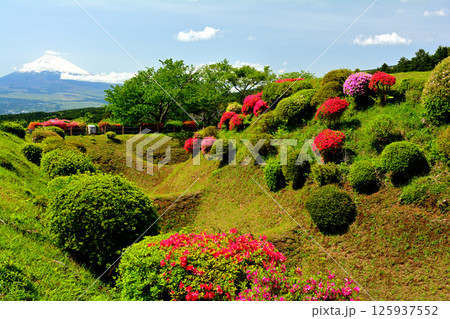 日本100名城・山中城(静岡) 日本100名城・山中城(静岡) 125937552