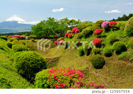 日本100名城・山中城（静岡） 125937554