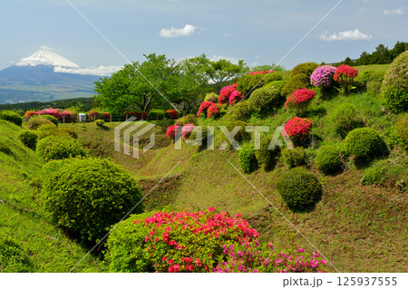 日本100名城・山中城（静岡） 125937555