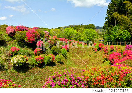 日本100名城・山中城(静岡) 日本100名城・山中城(静岡) 125937558
