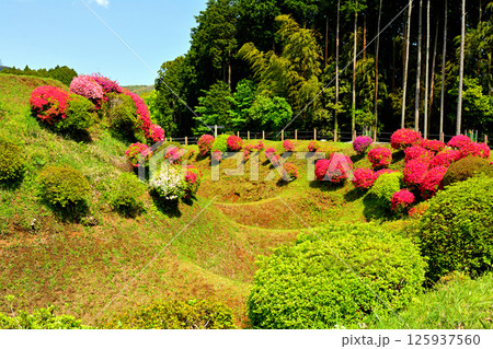 日本100名城・山中城(静岡) 日本100名城・山中城(静岡) 125937560