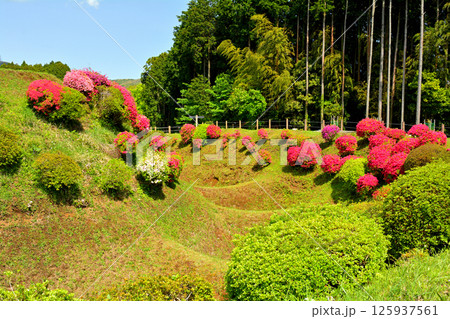 日本100名城・山中城(静岡) 日本100名城・山中城(静岡) 125937561