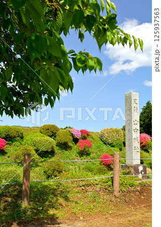 日本100名城・山中城（静岡） 125937563
