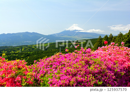 日本100名城・山中城（静岡） 125937570