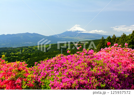 日本100名城・山中城(静岡) 日本100名城・山中城(静岡) 125937572