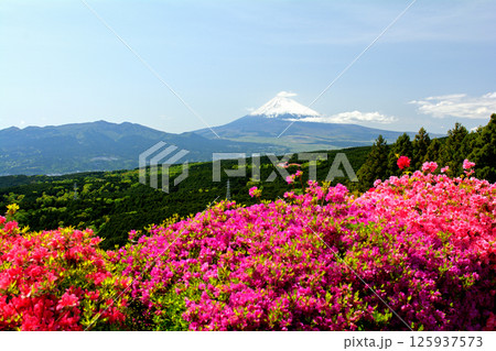 日本100名城・山中城(静岡) 日本100名城・山中城(静岡) 125937573