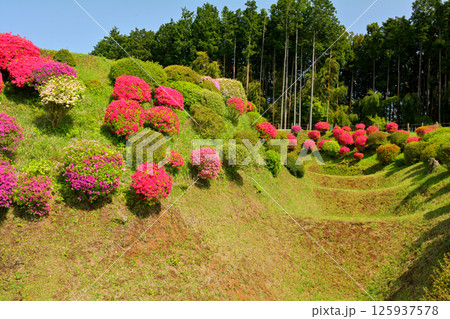 日本100名城・山中城(静岡) 日本100名城・山中城(静岡) 125937578